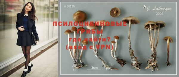 мяу мяу мука Рославль