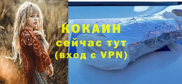 мяу мяу мука Рославль