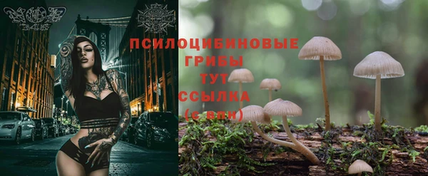 гашиш Саяногорск