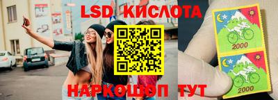 стаф Гусев