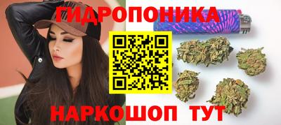 стаф Гусь-Хрустальный
