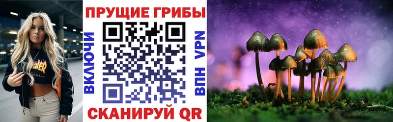 Псилоцибиновые грибы Magic Shrooms  Ижевск 